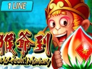 Ho Yeah Monkey icon